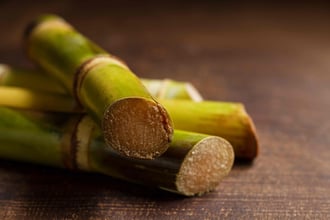 Sugarcane